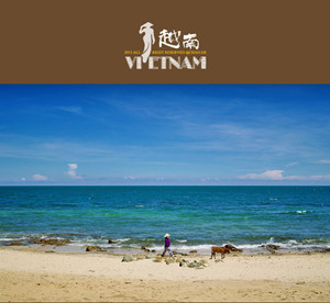 2016年越南芽莊團(tuán)建